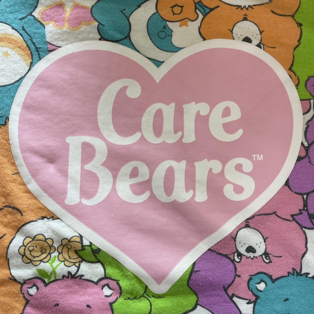 Care Bears Adult Small Sweatshirt Pink with All the Bears